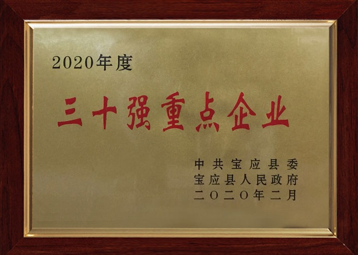 重點(diǎn)企業(yè)